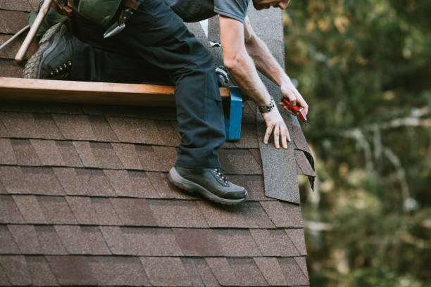 Best Roof Maintenance Services  in Winchester, NV